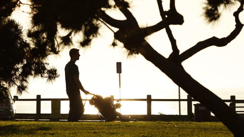 A sunset walk at Miramar Park in Redondo Beach on Feb. 4.