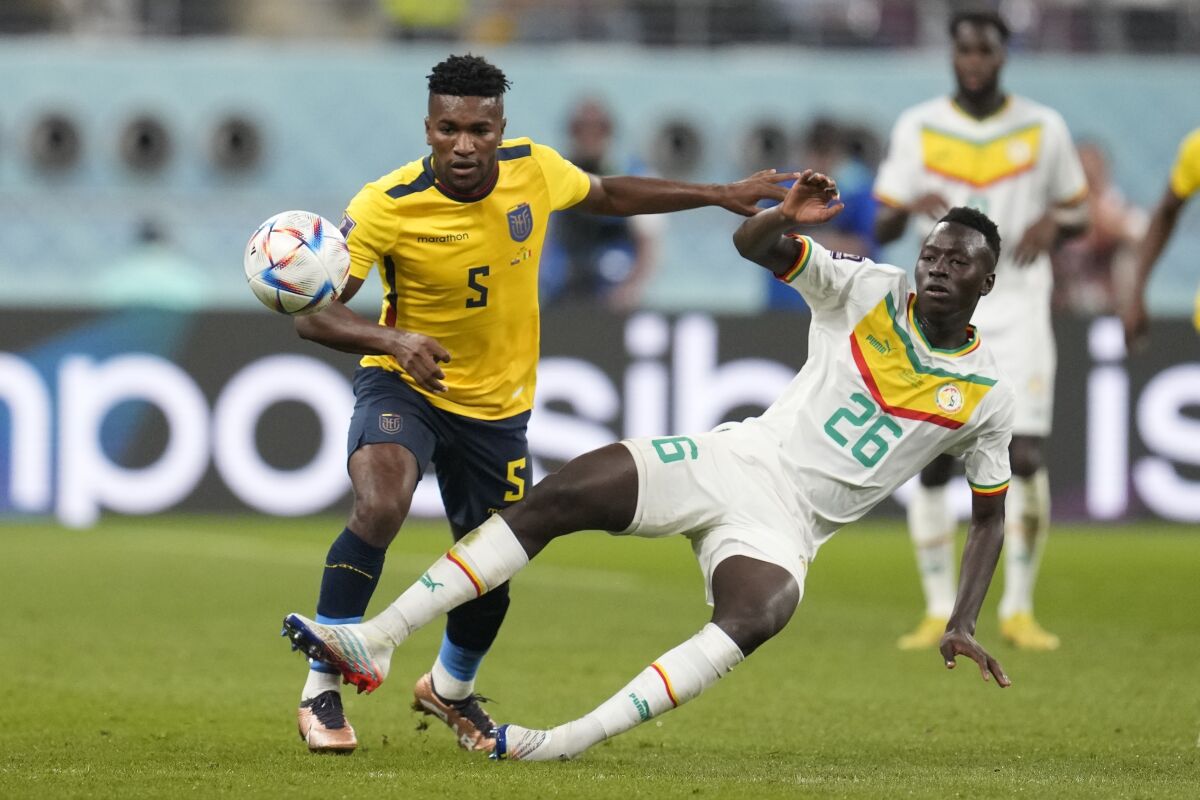 Senegal's Pape Guye and Ecuador's Jose Cifuentes battle for the ball during a World Cup Group A soccer match.