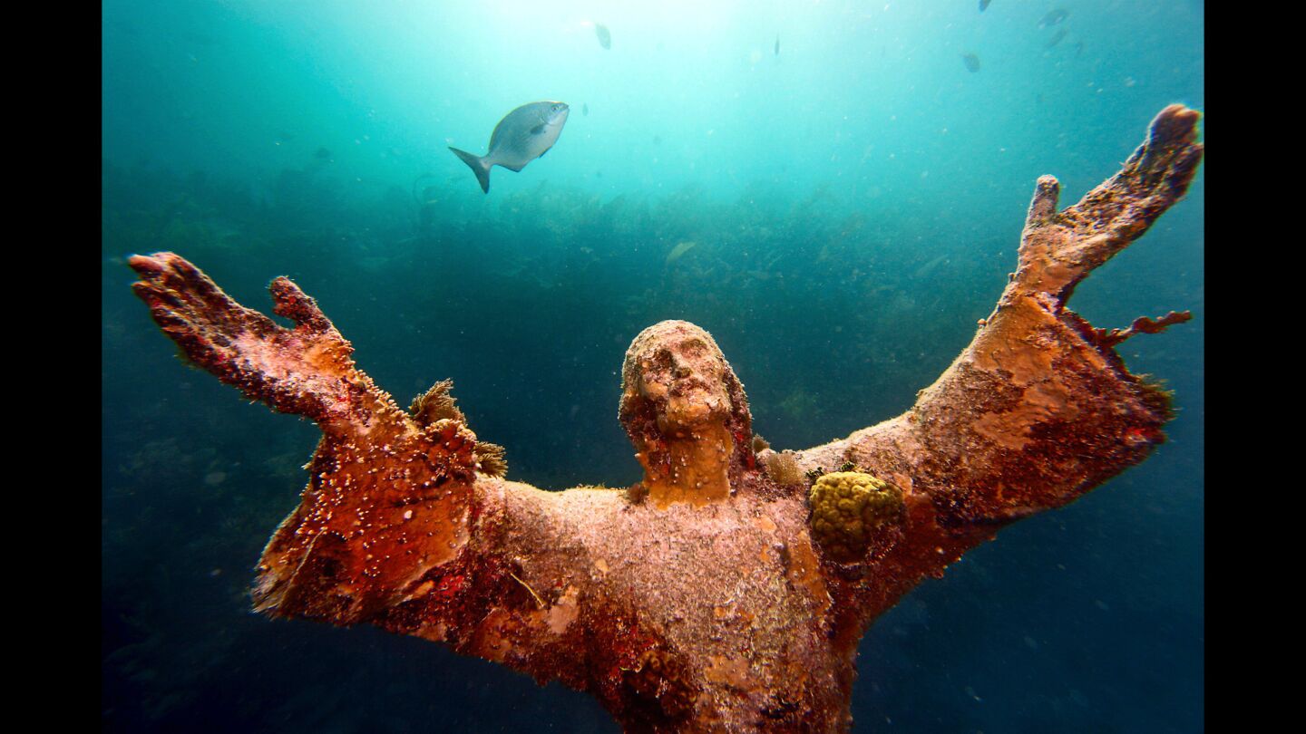 Weeks after it was scrubbed by Hurricane Wilma, a garden of different algae and seaweed began to grow on Christ of the Abyss in the Florida Keys. The 8 1/2 foot, 4,000-pound bronze sculpture of Jesus Christ stands in 25 feet of water off of Key Largo, Fla. It was installed in 1965 as tourist attraction in John Pennekamp Coral Reef State Park.