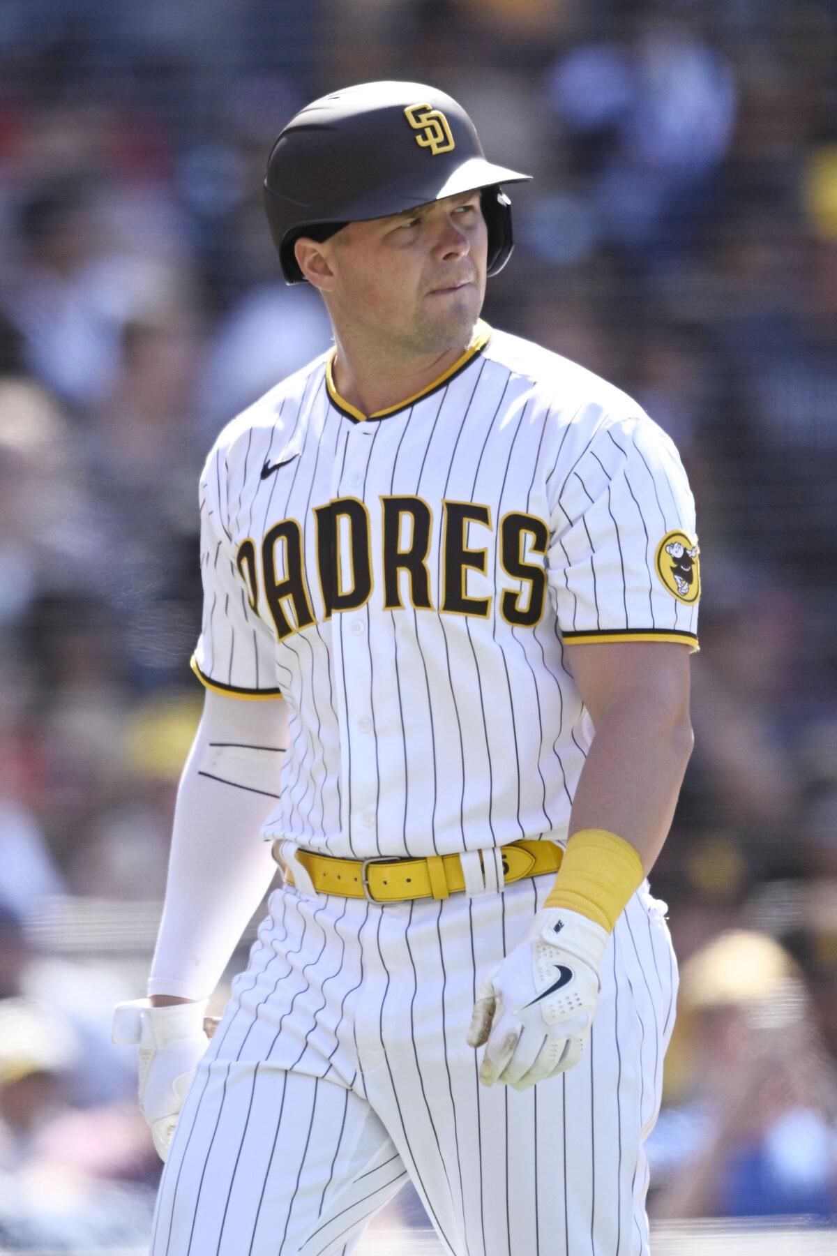 Talking with  Padres DH Luke Voit - The San Diego Union-Tribune