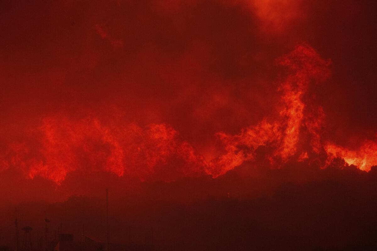 Flames from a major wildfire consuming a forest in Greece