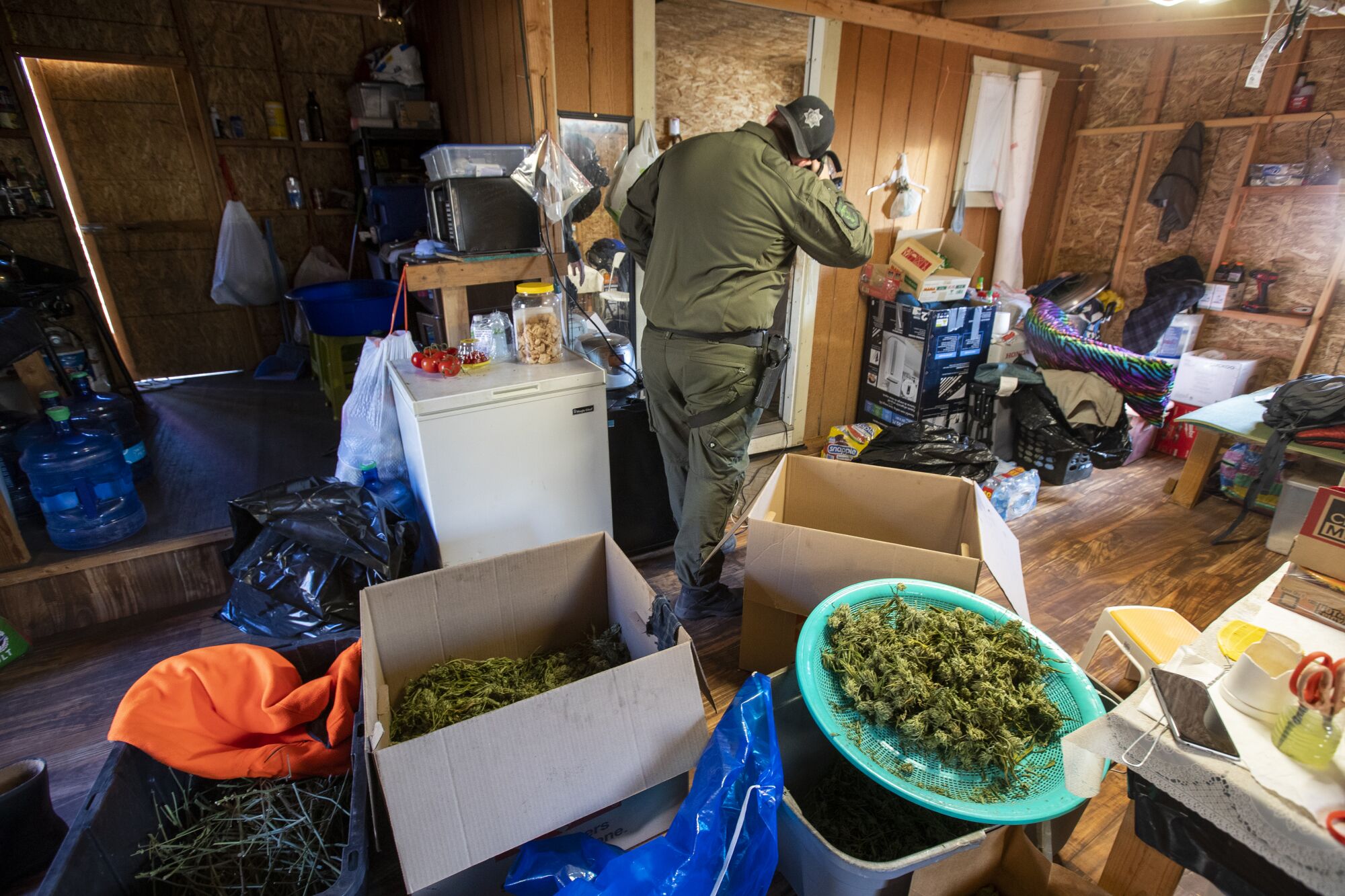 A sheriff's deputy serving a search warrant takes photographs in inside a plywood home in the Mount Shasta Vista