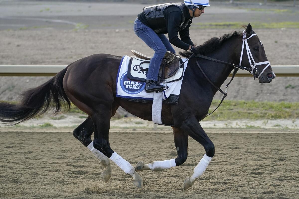 Belmont Stakes entrant Forte trains at Belmont Park on Friday.