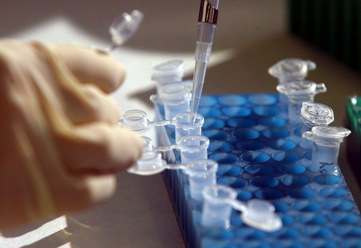 A forensic scientist transfers DNA dilutions from tube to tube in a crime lab
