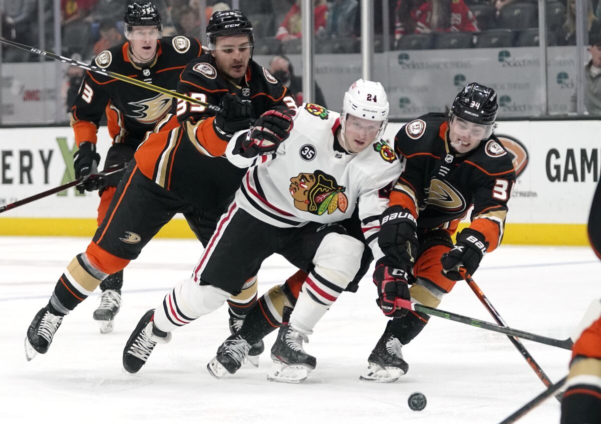 Chicago Blackhawks center Sam Lafferty moves the puck while under pressure from Ducks defenders.
