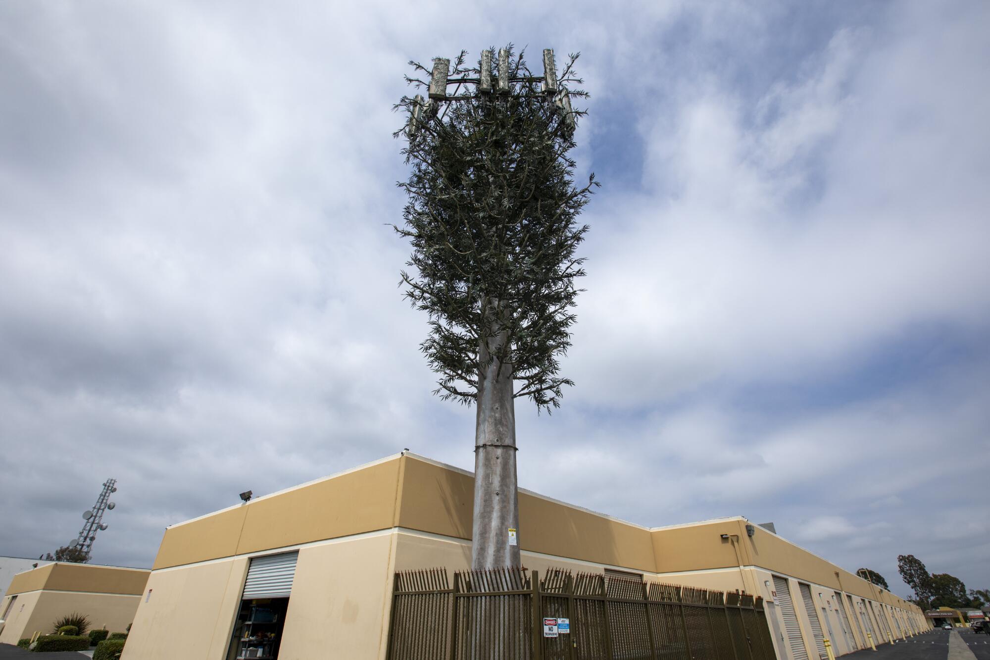 Why do cell towers look like fake trees? - Los Angeles Times