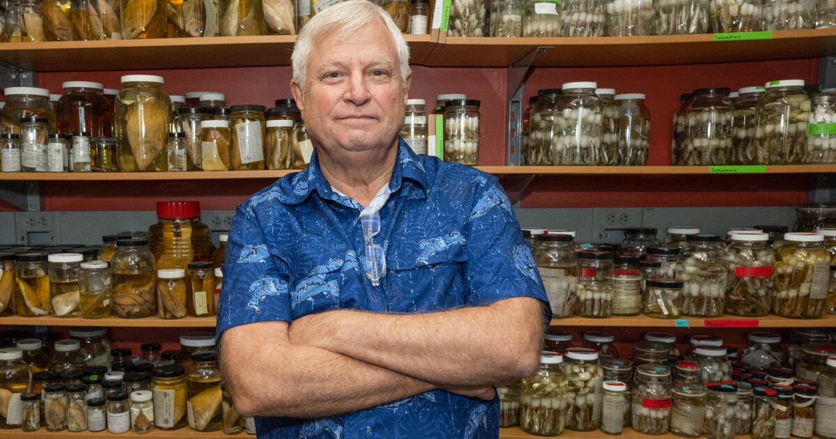 Un biologiste marin et défenseur de l’environnement américain abattu aux Philippines