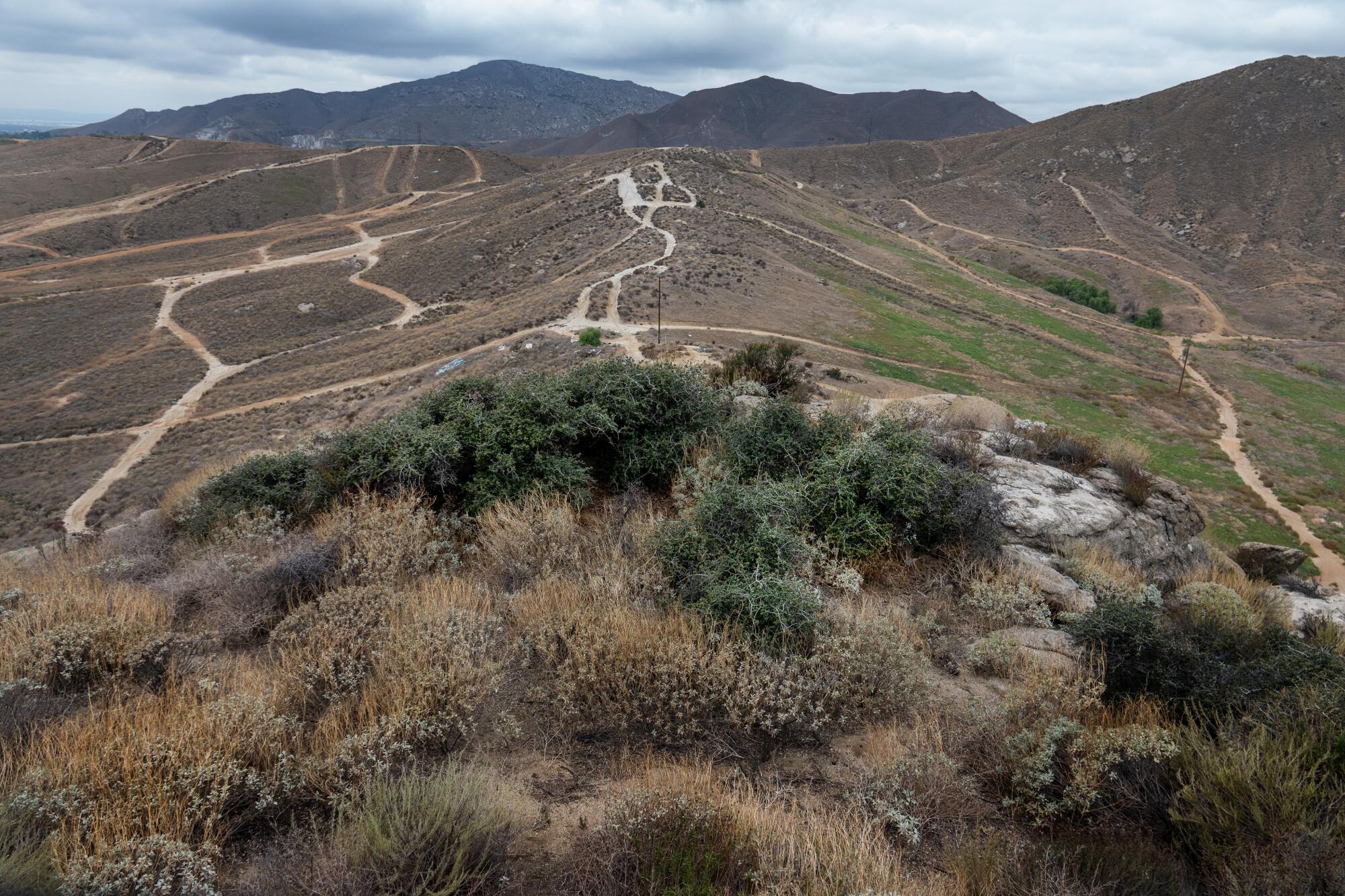 Dark green scrub covers the top of a hill.