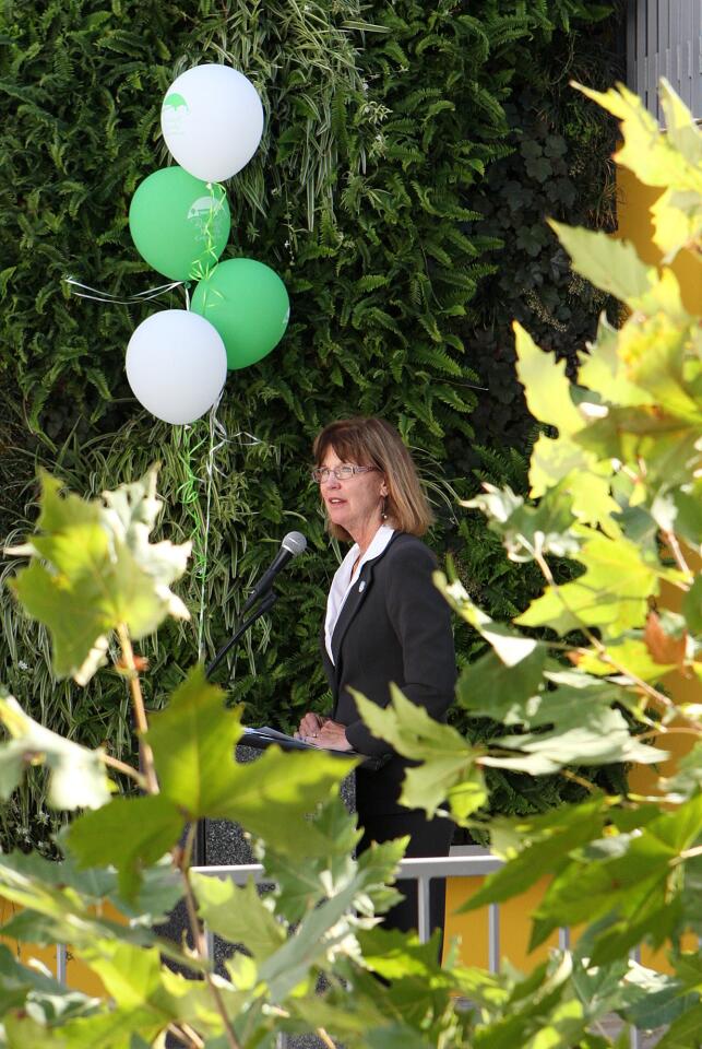Burbank Mayor Emily Gabel-Luddy, framed by the sycamore tree she is talking about, address attendees during a ribbon cutting ceremony at The Sycamore at Catalina, an new apartment complex in Burbank built with funds coordinated by the Burbank Housing Corporation on Thursday, August 15, 2013.