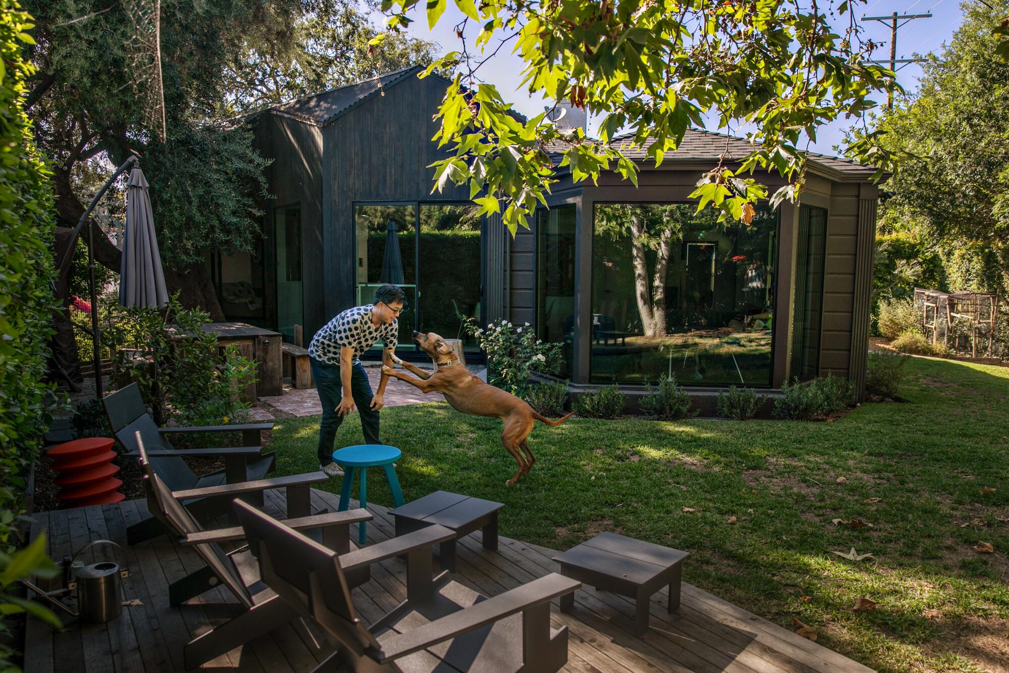 A man plays with a dog in a backyard.