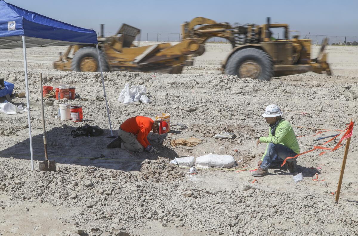 Fossils found during construction of State Route 11 in Otay Mesa.