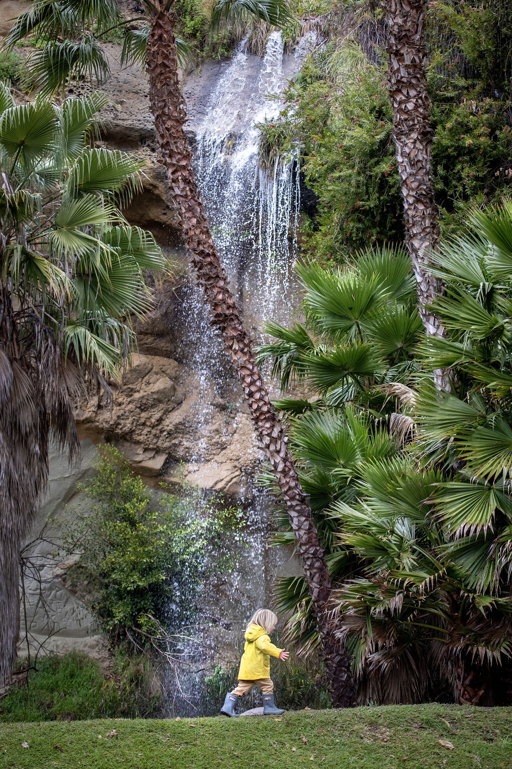 A toddler in a yellow raincoat runs near a small waterfall and palm trees. 