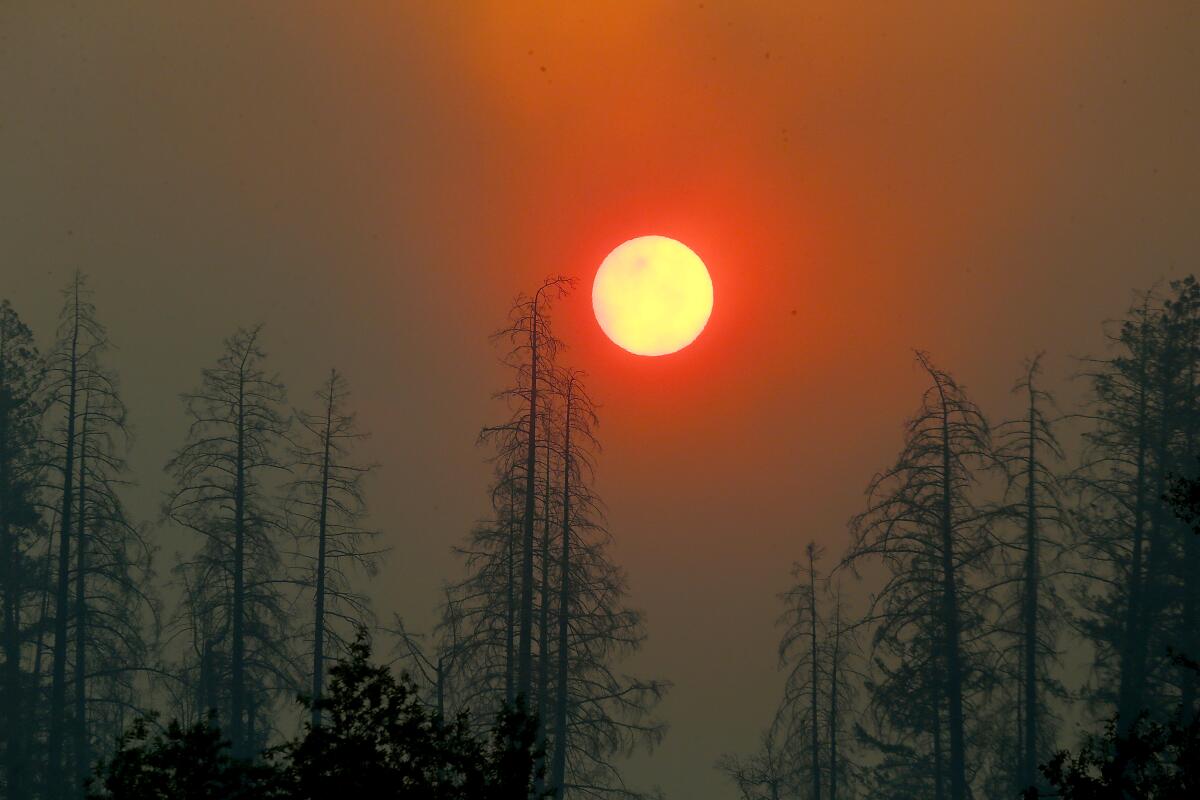 Smoke from the Kincade fire partially obscures the sun as it rises above Chalk Hill Road near Healdsburg, Calif., on Sunday.