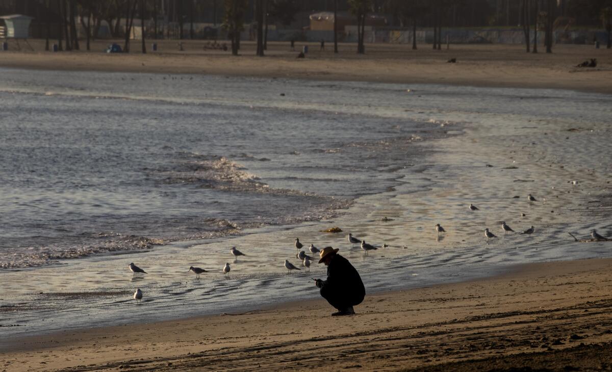 A breakwater that was built years ago blocks the waves in Long Beach. Surfers would love to have the long, rocky structure removed, but it's not happening.