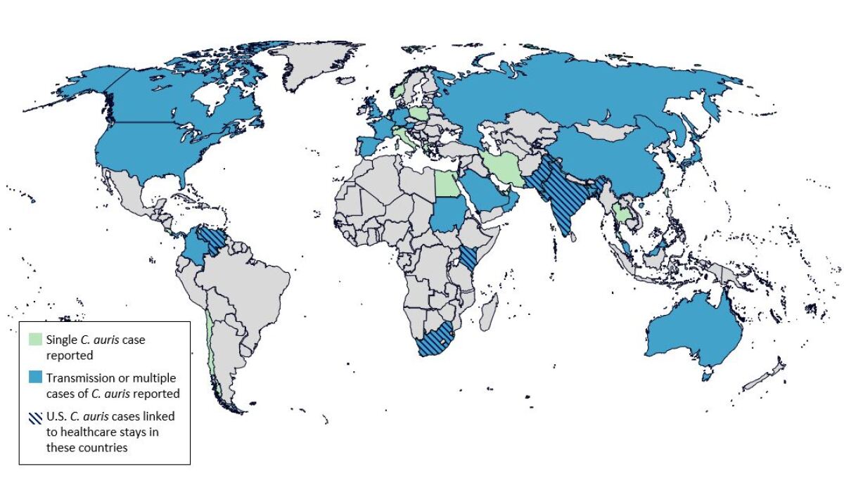 A map of the world shows countries affected by C. auris, a potentially deadly fungus.