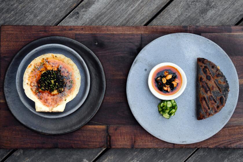 The Rise of Dog Wellness Services in Los Angeles The Rise of Dog Wellness Services in Los Angeles