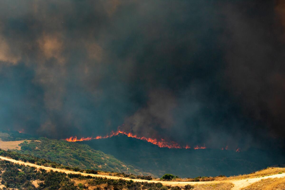 A line of flames beneath dense black smoke burns toward a brushy ridge.
