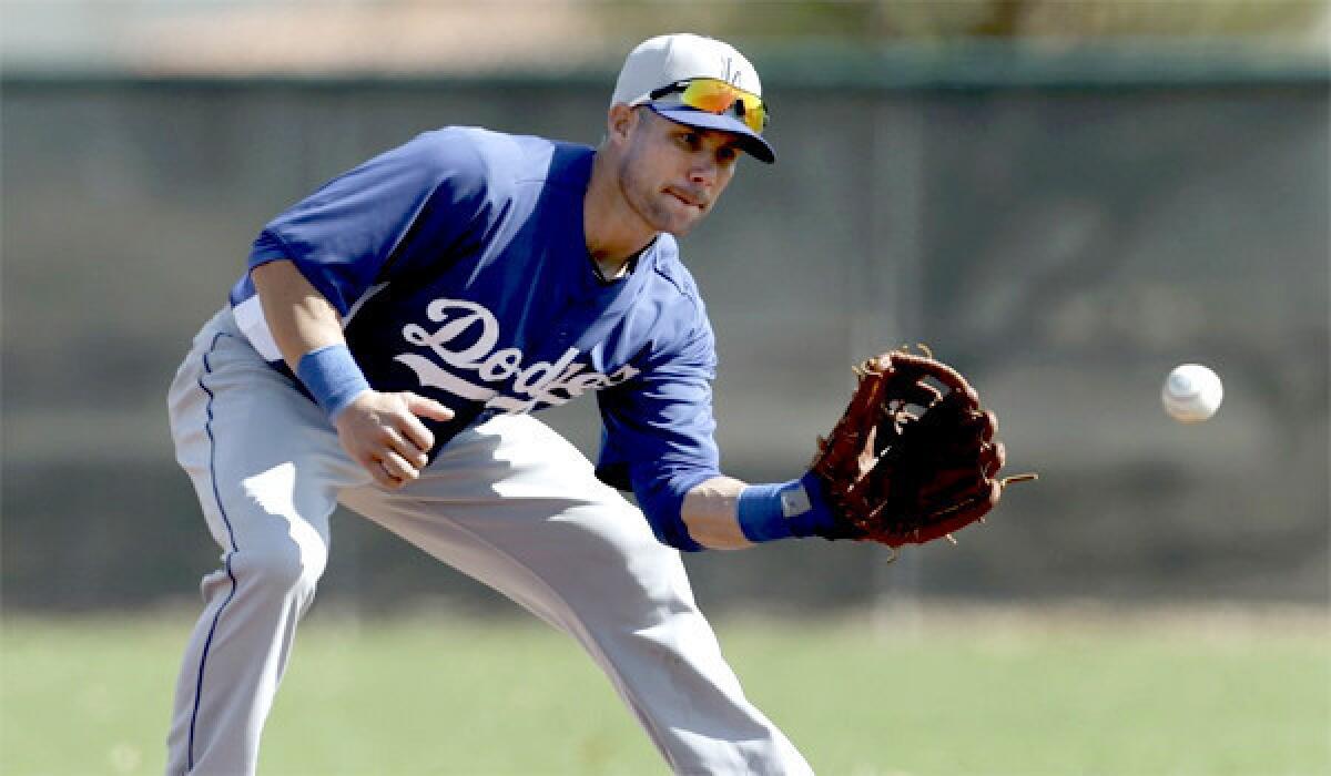 Skip Shumaker has prepared to play multiple positions during spring training with the Dodgers, but Manager Don Mattingly says he'll probably play left field if Carl Crawford remains unable to play.