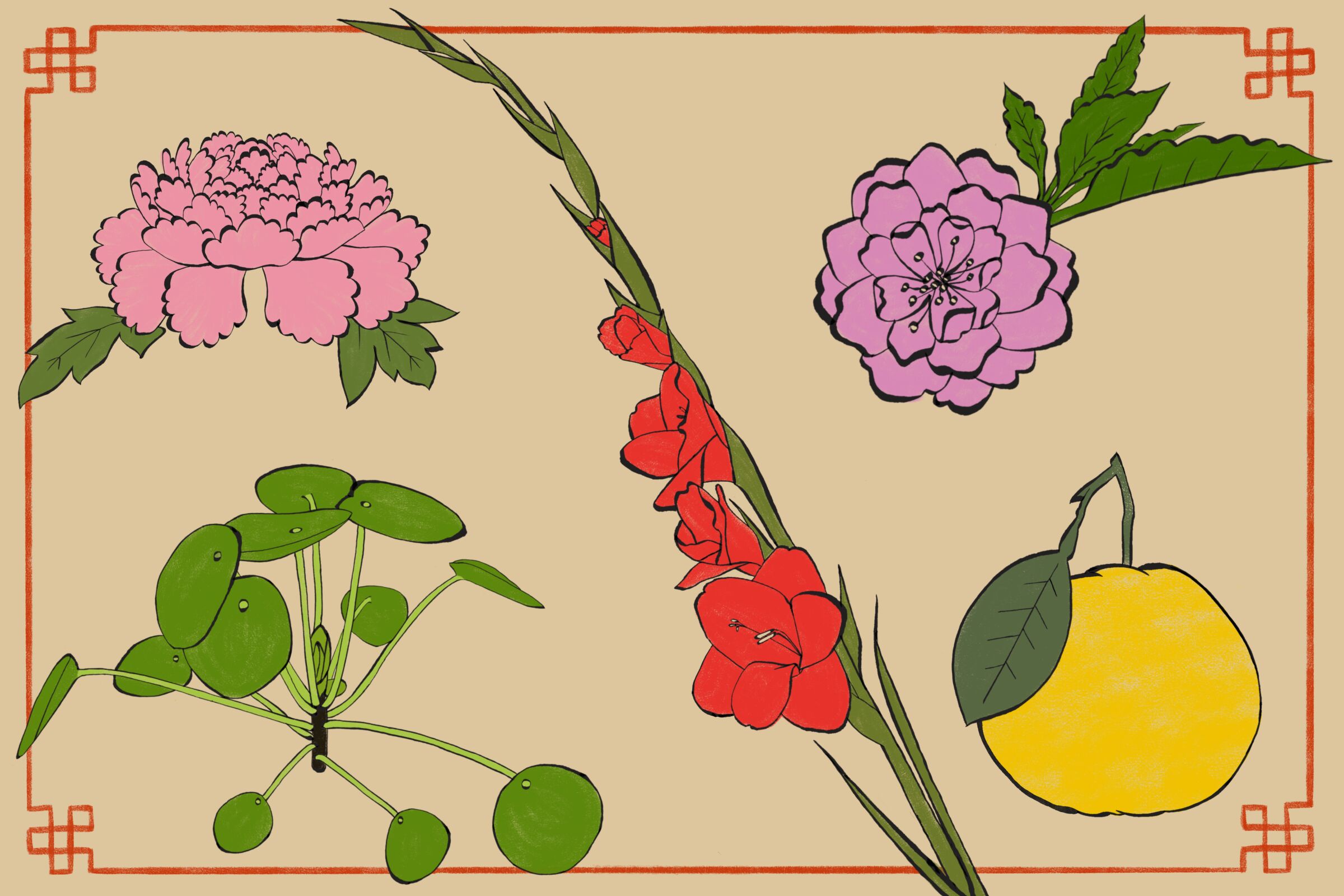 An illustration of pink and red flowers, a citrus fruit and a round-leaf plant