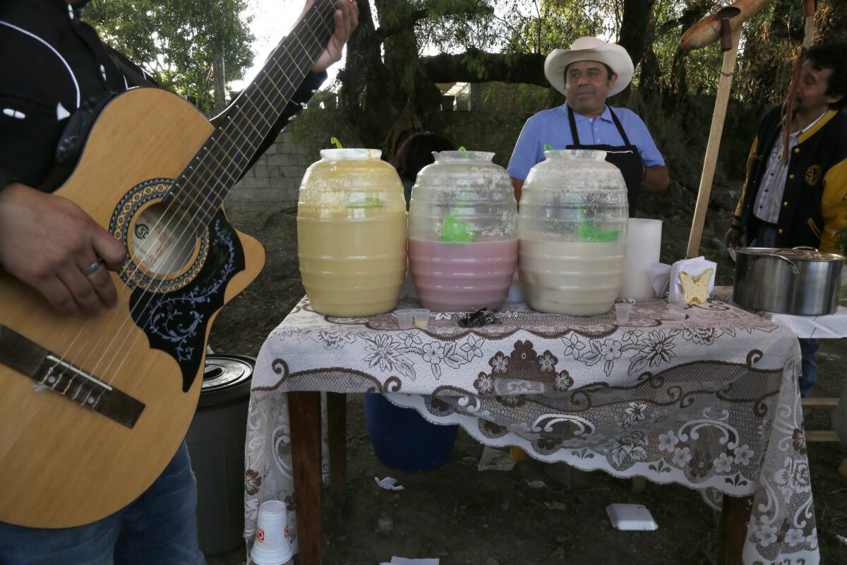 ARCHIVO - Un músico afina su guitarra mientras un vendedor de pulque espera clientes en Santiago 