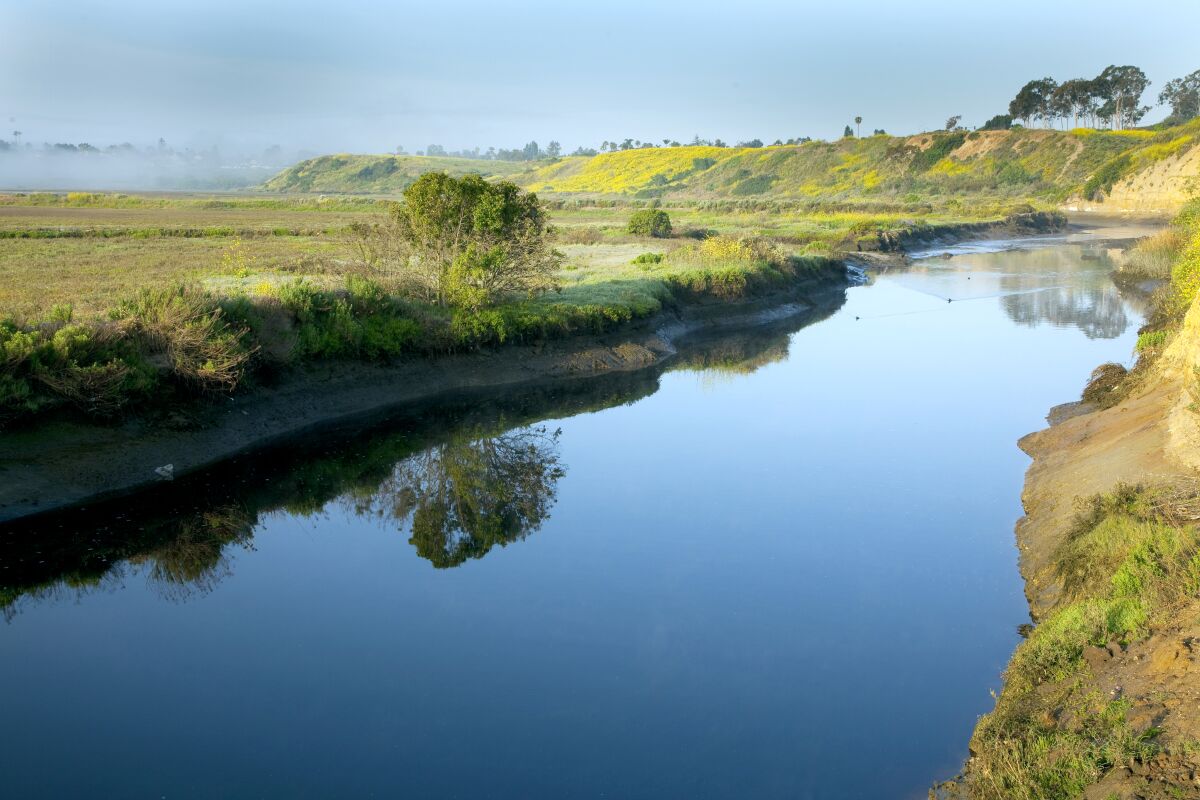 Upper Newport Bay Nature Preserve located in Newport Beach.