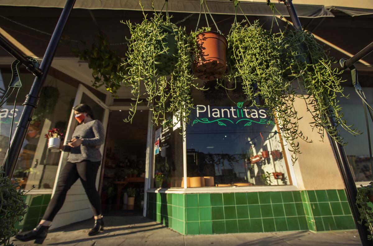 The Plantiitas exterior, its awning hung with plants.