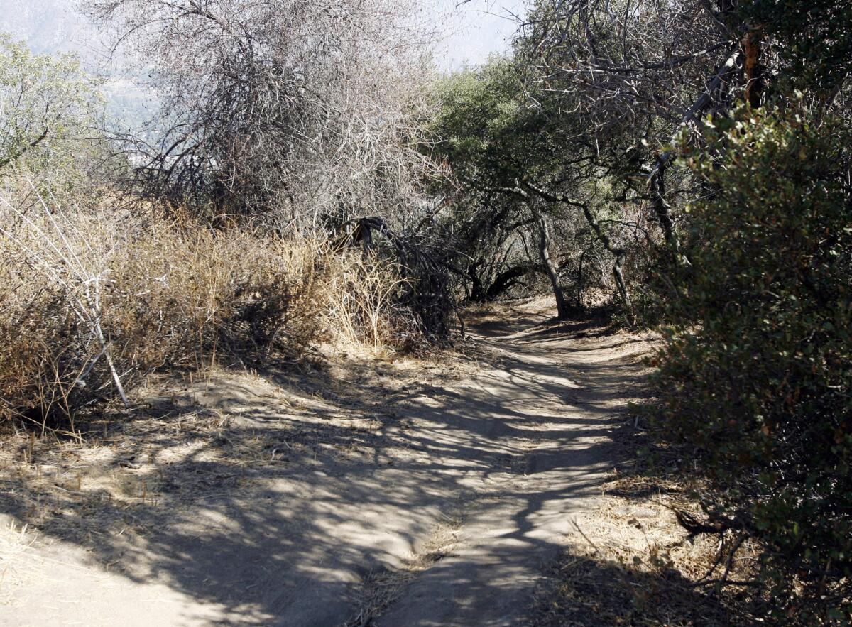 The La Cañada City Council approved an ordinance on Monday night that bans smoking at or within 20 feet of city-owned property, outdoor dining areas, shopping centers and public events. The law also prohibits smoking on recreational trails, including the La Canada Flintridge loop trail in Cherry Canyon.