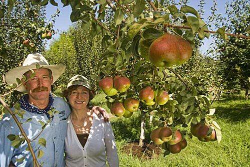 Jeff Rieger and Laurence Hauben with Forelle pears