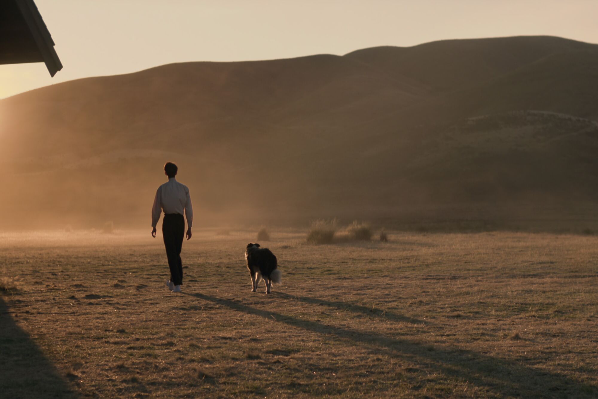 Kodi Smit-Mcphee as Peter walks away with a dog in “The Power of the Dog.” 