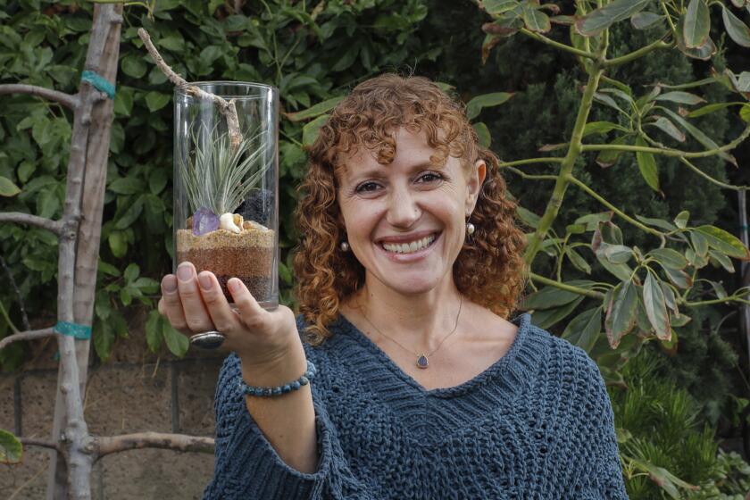 San Marcos, CA - November 07: Portrait of author Rachael Cohen in her backyard garden with one of her terrariums. Growing in it is a Tillandsia, also known as an Airplant. (Charlie Neuman / For The San Diego Union-Tribune)
