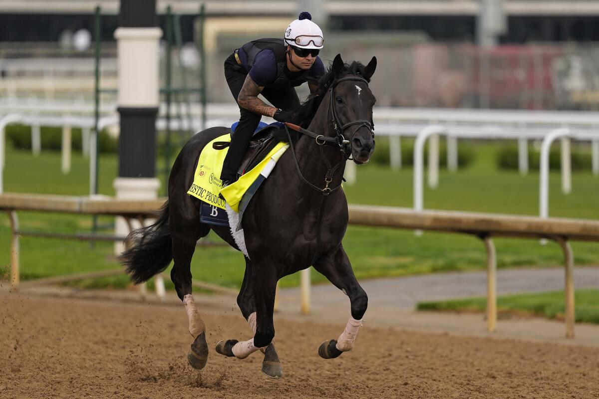 Kentucky Derby entrant Domestic Product works out at Churchill Downs