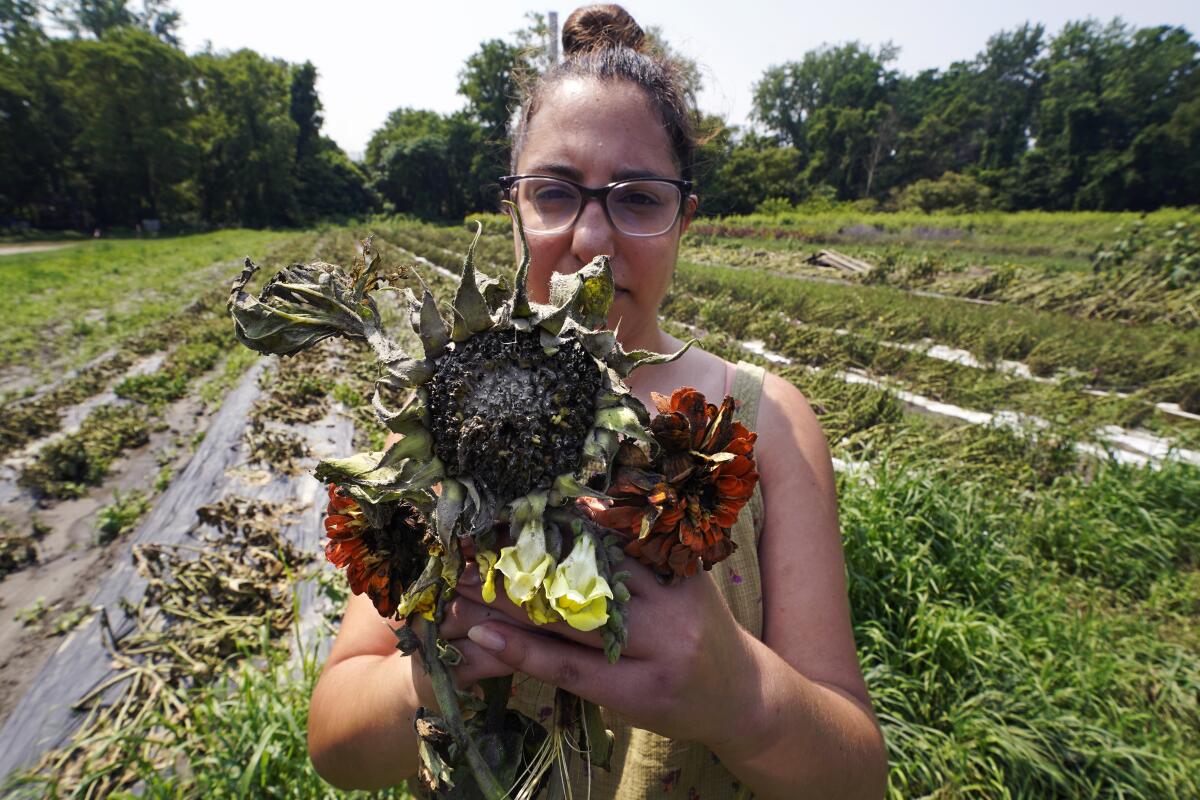 A woman holds mud-covered flowers standing in front of a flooded farm field