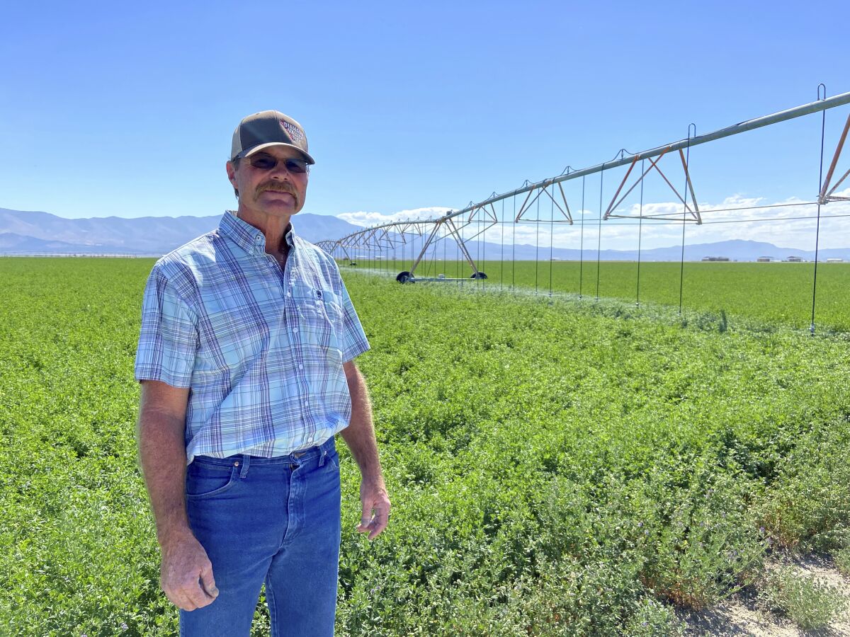 Marty Plaskett, a hay farmer in Diamond Valley, Nev., stands near one of his irrigation pivots that's watering his alfalfa field on Sept. 2, 2022. Plaskett may soon consider selling off parts of his water rights back to the state of Nevada. Plaskett, 57, has lived on a farm in Diamond Valley that his family bought for almost his whole life.(Kaleb Roedel/Mountain West News Bureau via AP)