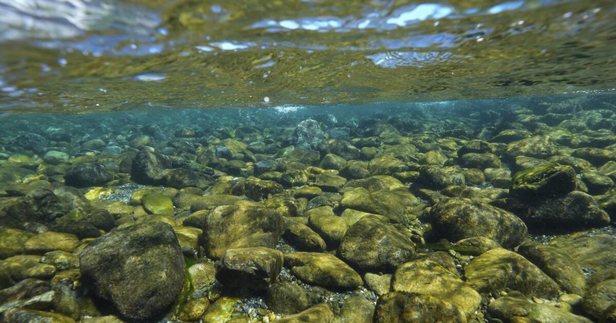 Forest land along the Klamas River returns to Yuluk Tribe in California Forest land along the Klamas River returns to Yuluk Tribe in California