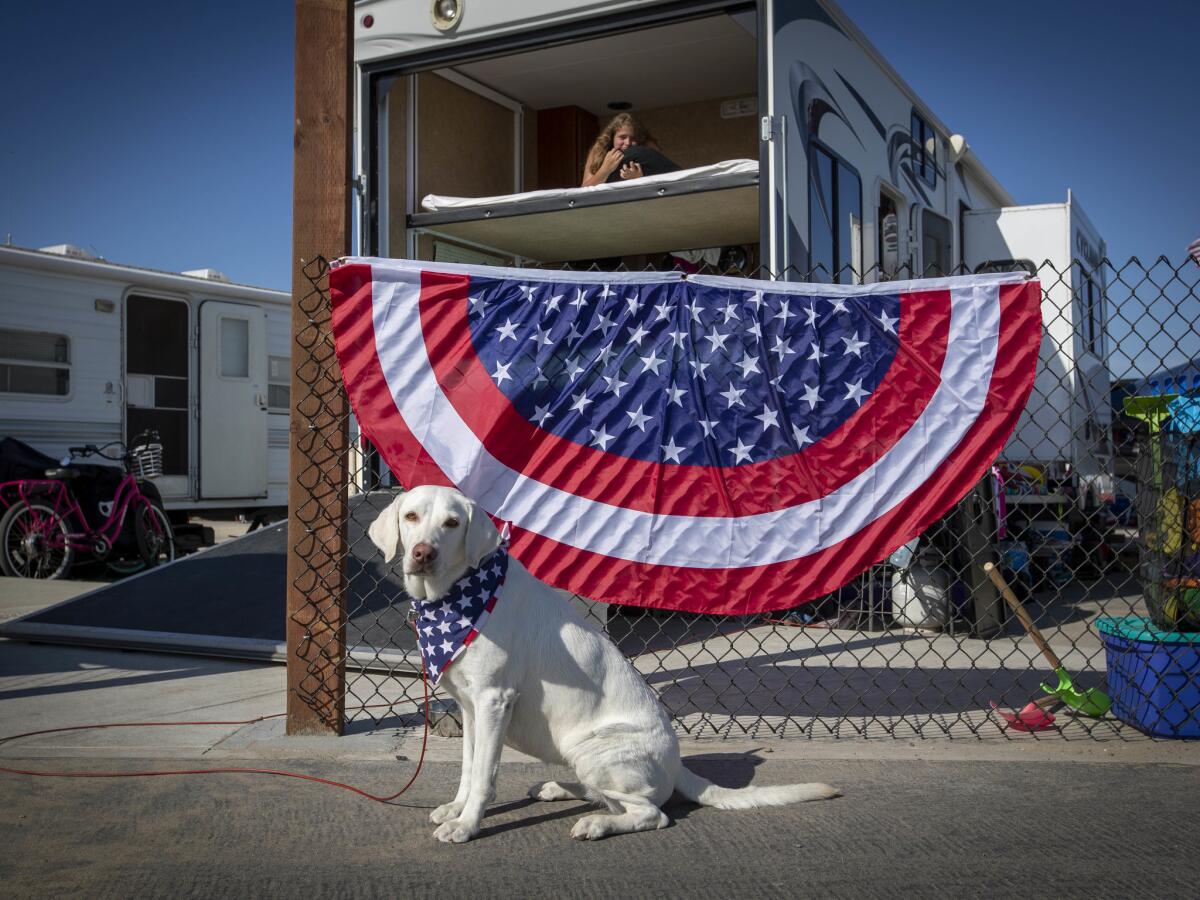 Abbie, an English Lab, watches people go by on the bike path at Bolsa Chica State Beach as Kayliana Ratcliff, 12, of Canyon Hills looks out from the top bunk in her family trailer.