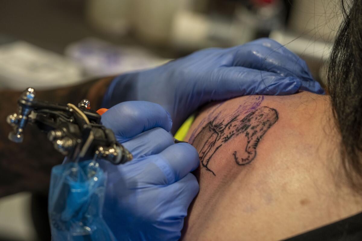 Henk Schiffmacher tattoos the lines of an elephant on Lilian Rachmaran's back.