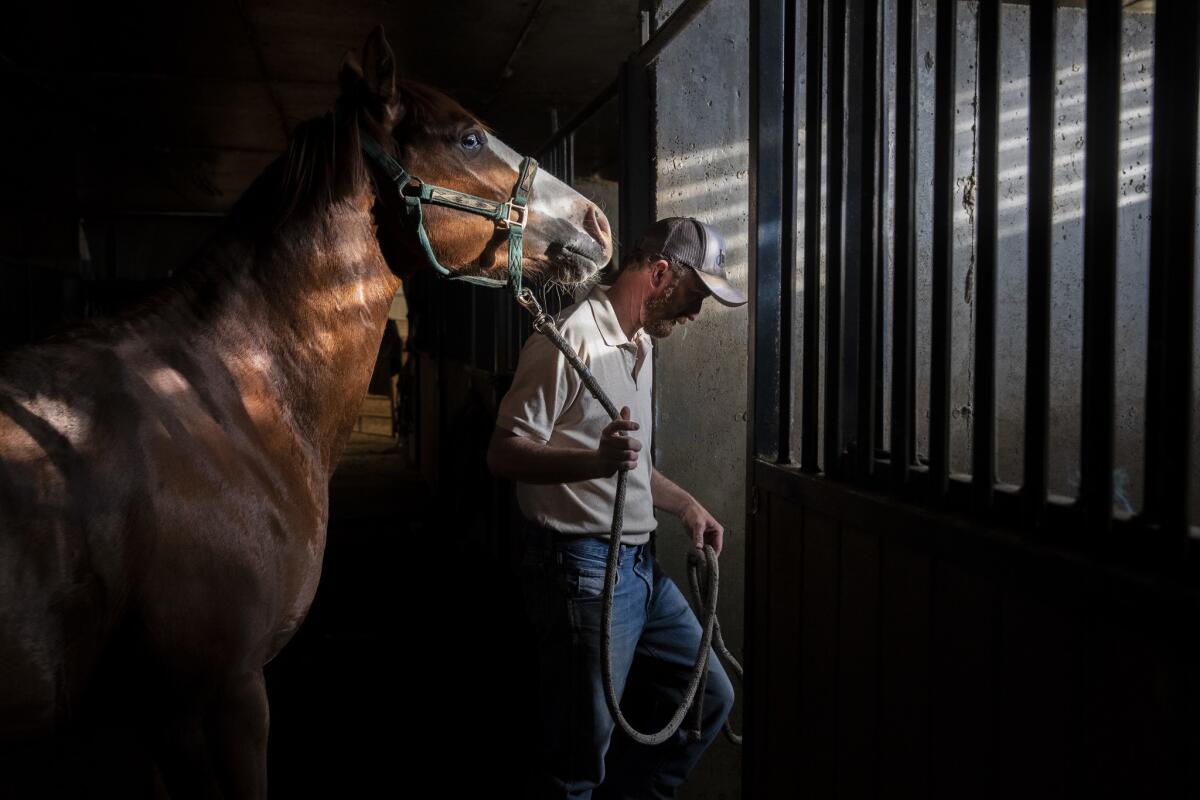 Nathan Ivie leads a horse back to its stall on his ranch June 4 in Benjamin, Utah. The Republican, devout Mormon and married father of two recently came out as gay.