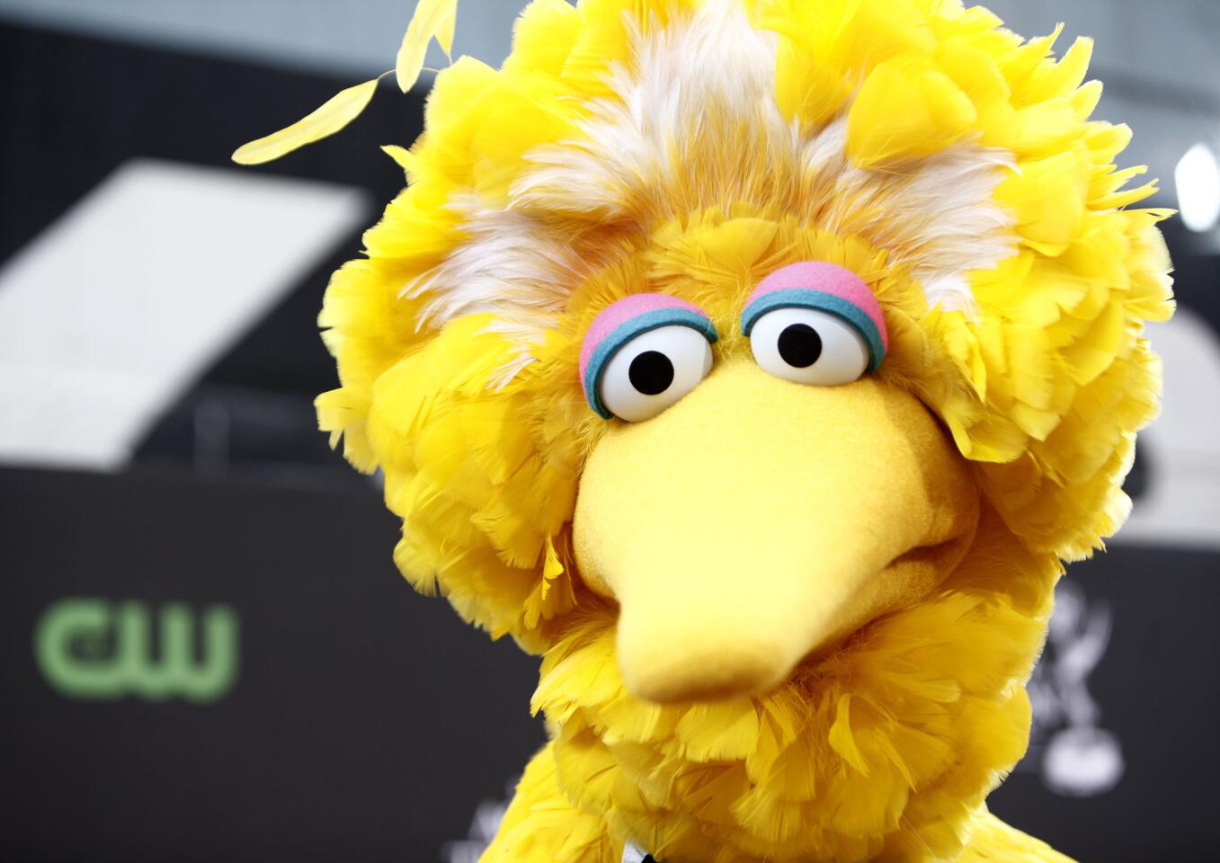 'Sesame Street' moments | Big Bird loses his nest