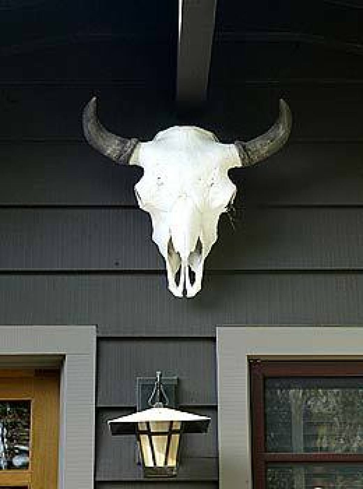 A cowboy touch  the buffalo skull  decorates the back porch of Arno Grethers 1906 Craftsman home in Pasadena.