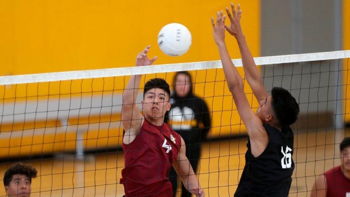 Ocean View High's Devon Vu, seen against Godinez on April 22, led the Seahawks with 15 kills in their quarterfinal victory in the CIF Southern Section Division 5 playoffs on Saturday at home.