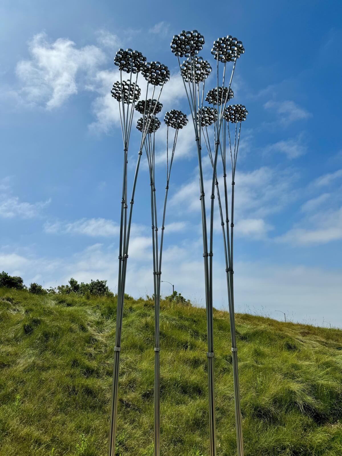 Catherine Daley's "Millefolium," which was installed with nine other sculptures.