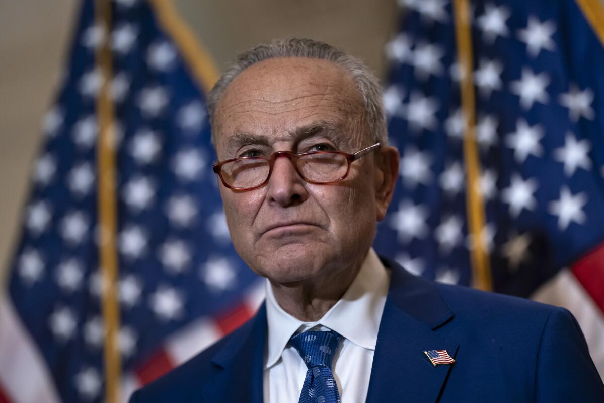 Chuck Schumer stands in front of two American flags. 