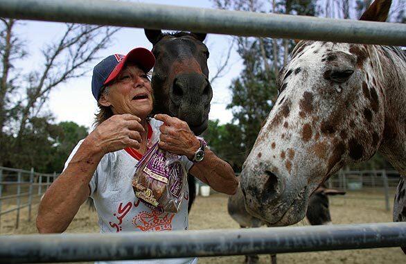 For years, 63-year-old Renee Duncan has operated a successful horse rescue ranch in Perris. Now, deputies are expected to shutter the ranch and evict the emergency room nurse.