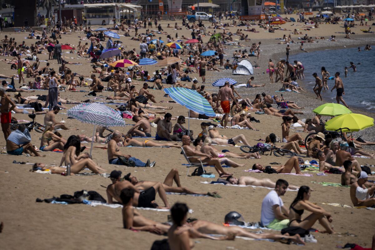 People sunbathing on beach in Barcelona, Spain