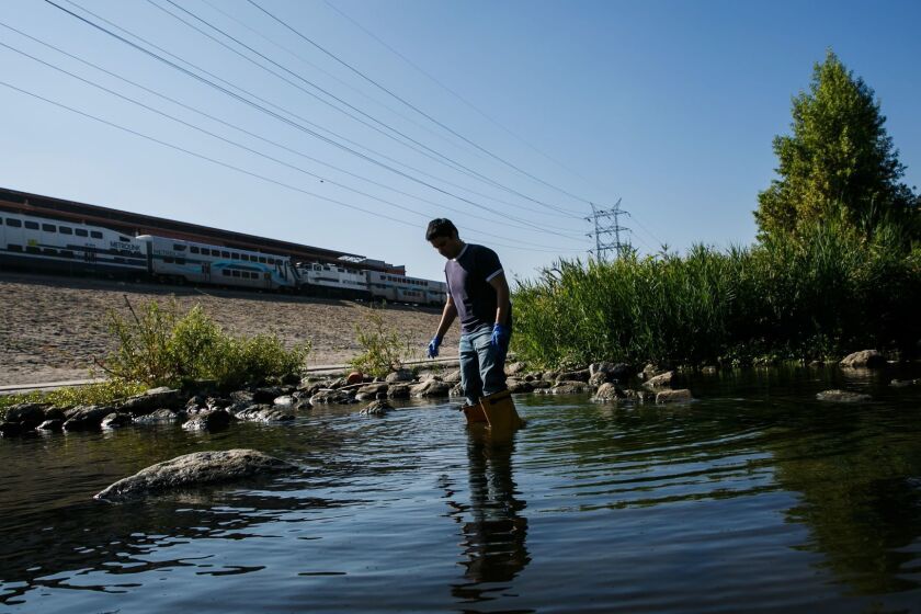 LOS ANGELES, CALIF. -- TUESDAY, AUGUST 8, 2017: Nelson Chabarria collect water samples from the L.A. River in Los Angeles, Calif., on Aug. 8, 2017. The Heal the Bay team and students collect samples from several locations on the L.A. river and also examine discharge from storm drains, then proceed to Sepulveda Basin for the same, and then to Heal the Bay for lab testing. (Marcus Yam / Los Angeles Times)