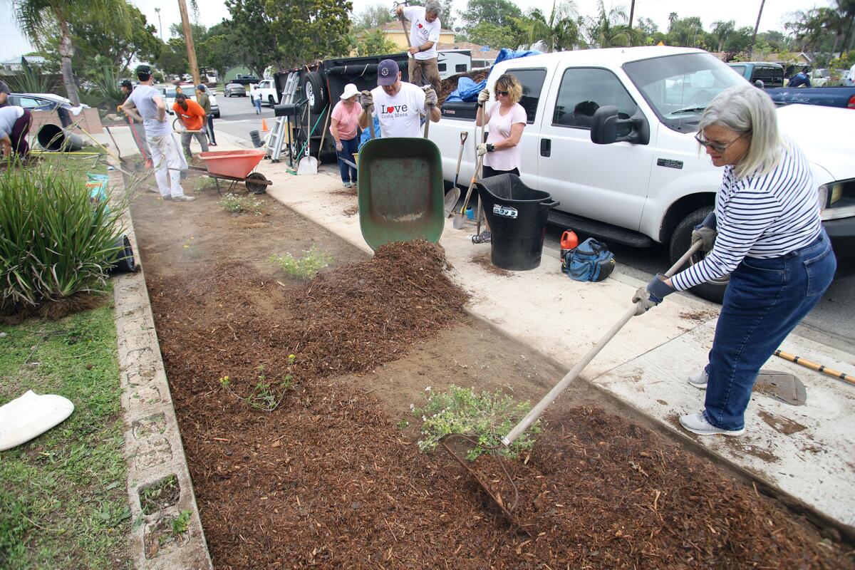 Volunteers from Labors of Love participate in a landscaping project for a Costa Mesa homeowner on Saturday.