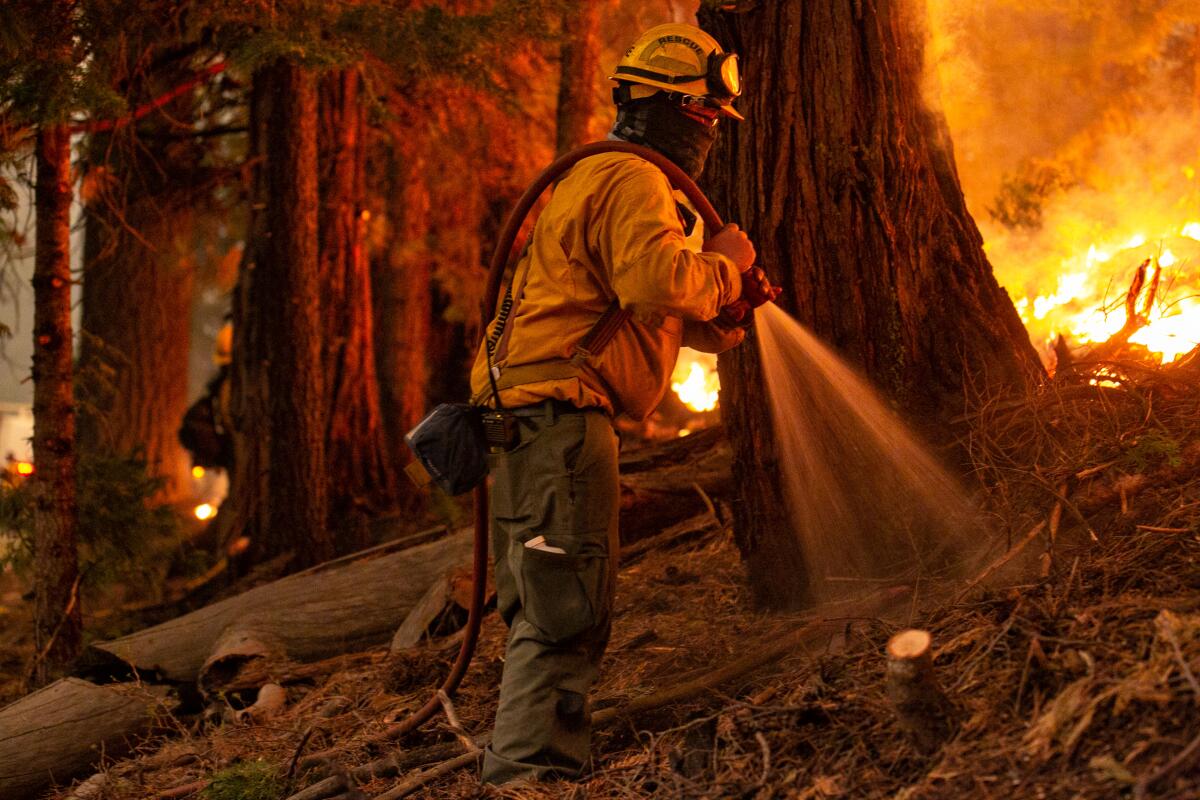 A firefighter sprays a hose near a fire