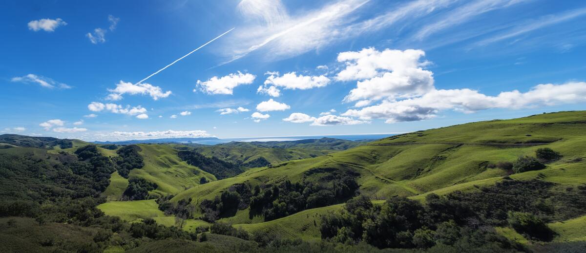 Highway 46, midway between Cambria and Templeton.