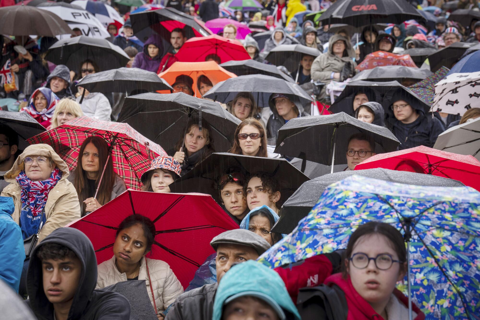 Royal fans watch the King Charles III coronation ceremony on a screen in London's Hyde Park.