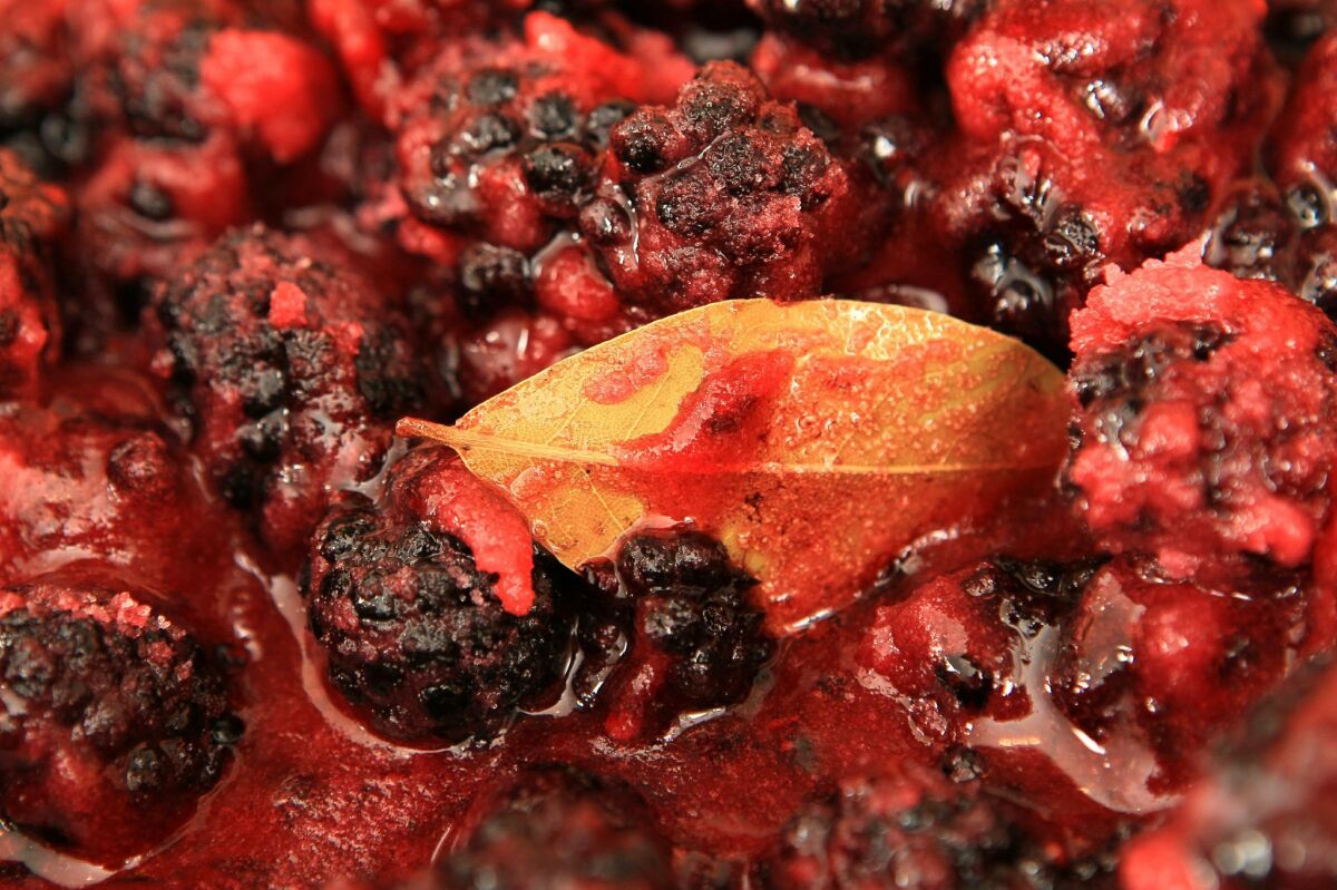 Detail view of a bay leaf cooking in the mixture for blackberry jam at the home of Jane Carroll. — Charlie Neuman